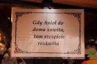 swietorozy  IMG_9456.jpg